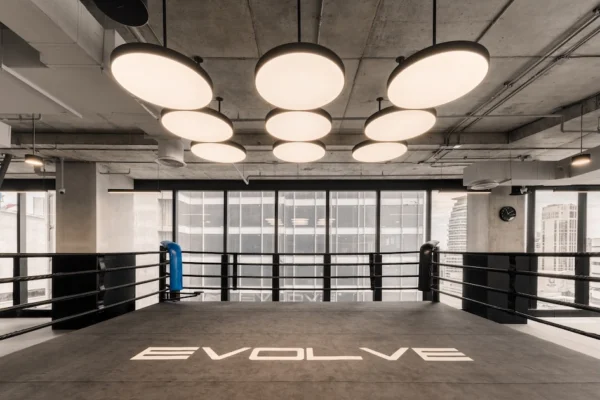 EvolveMMA-17