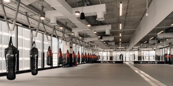 EvolveMMA-20