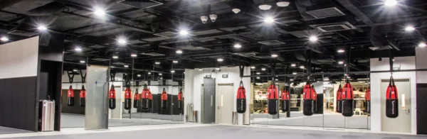 Evolve-MMA-KINEX mt zone