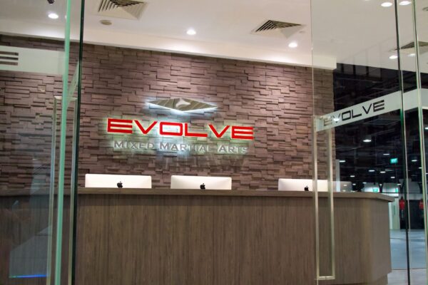 Evolve MMA (KINEX)