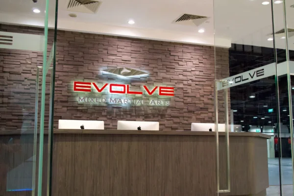 Evolve MMA (KINEX)