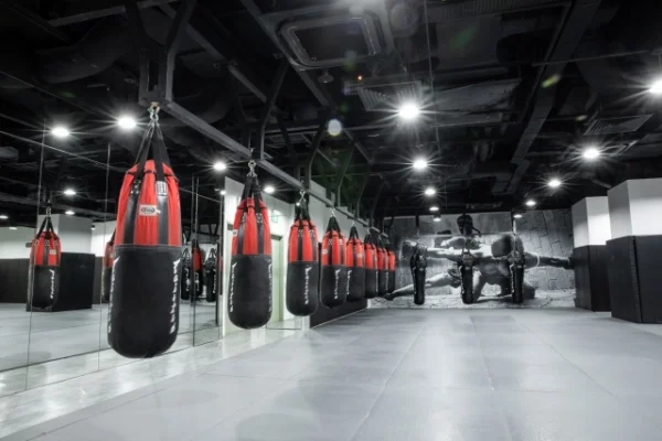 evolve kinex muay thai zone