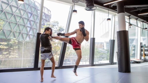 Evolve MMA (EmSphere Tower)