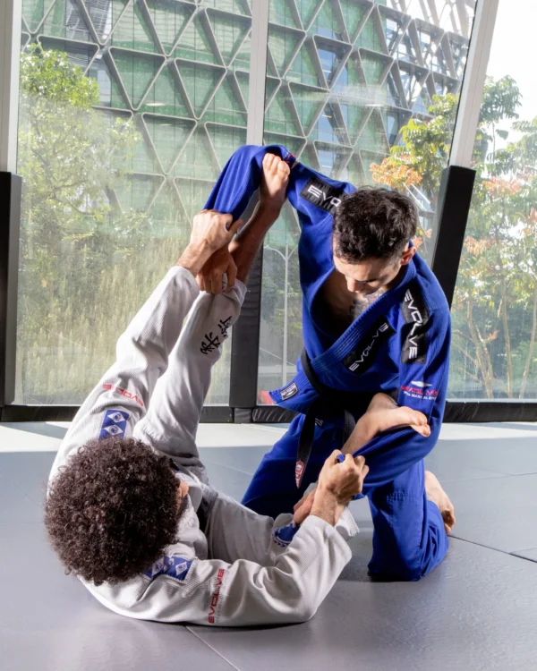 Brazilian Jiu-Jitsu (BJJ)