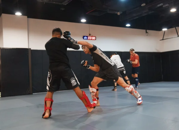 Benefits Of Mixed Martial Arts (MMA)