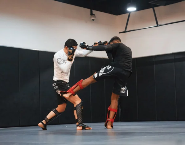Benefits Of Mixed Martial Arts (MMA)