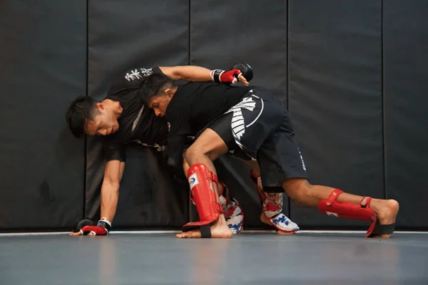 Benefits Of Wrestling