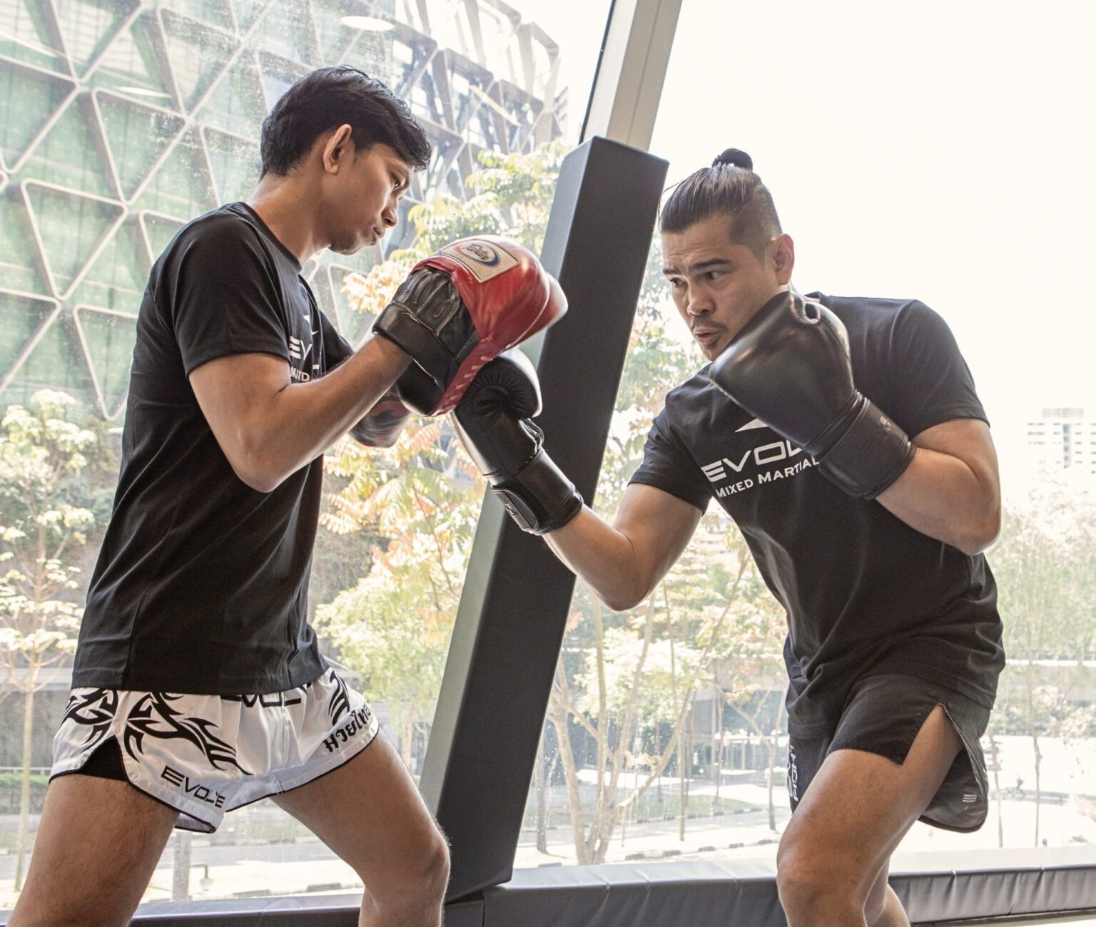 Evolve MMA Thailand